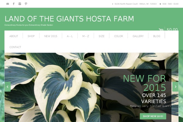 Eshop theme site design template sample