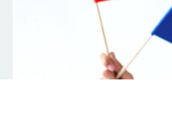 Site using Wp-yandex-metrika plugin
