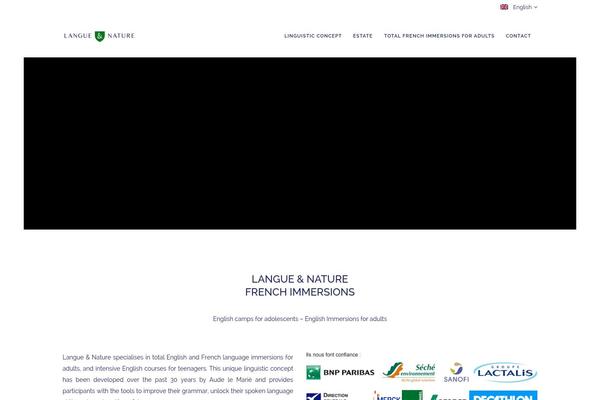 Site using Wpml-translation-management plugin