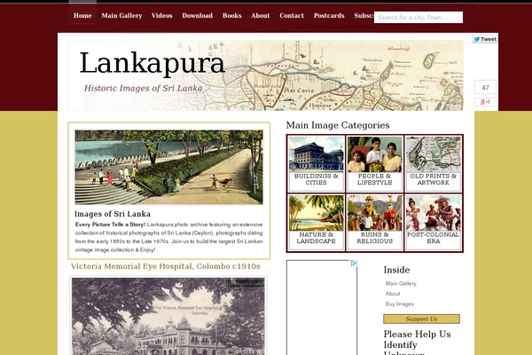 Dollah theme site design template sample
