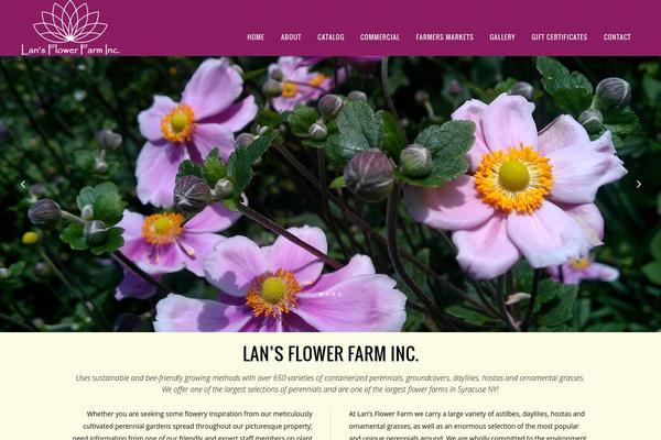 Vigor theme site design template sample