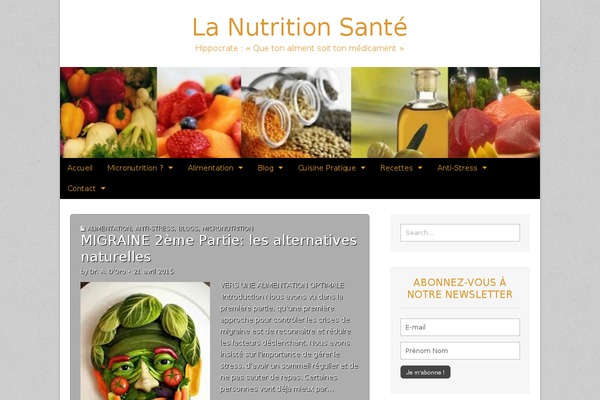 Magazine Premium theme site design template sample