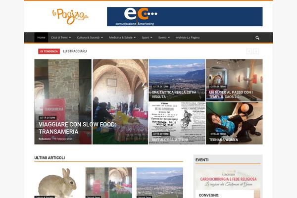 Newspaper Child theme site design template sample