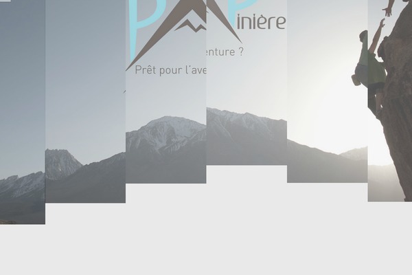 Site using Font Awesome More Icons plugin