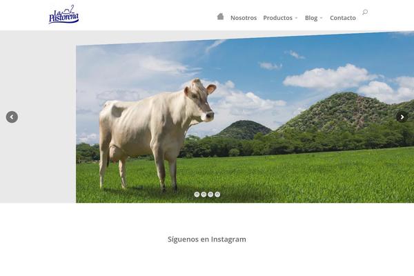 Site using Elfsight-instagram-feed-cc plugin