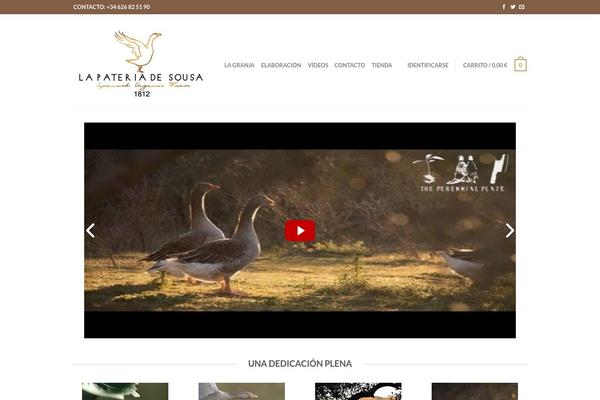 Site using Video Gallery plugin