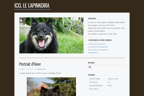 Jenny theme site design template sample