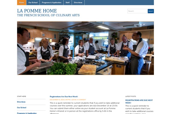 Academica theme site design template sample
