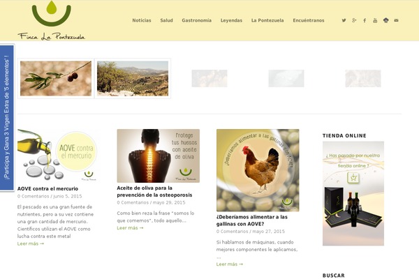 Site using Easy Social Icons plugin