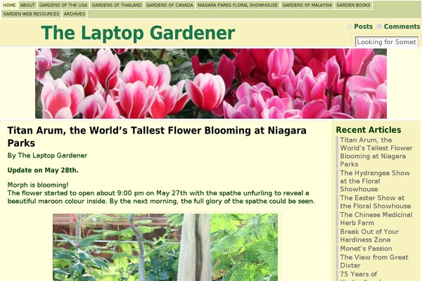 Atahualpa theme site design template sample