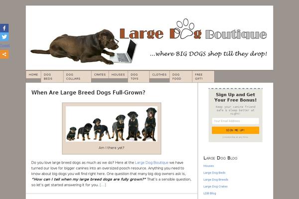 Site using Easyoptinbuilder plugin