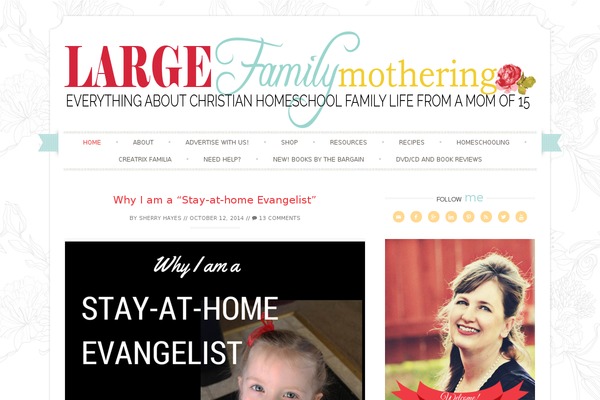 nameless-pro theme websites examples