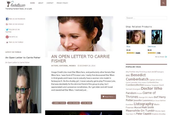 Ridizain theme site design template sample