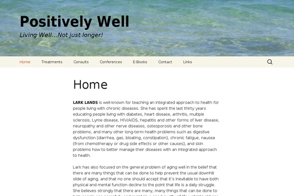 Twenty Thirteen theme site design template sample