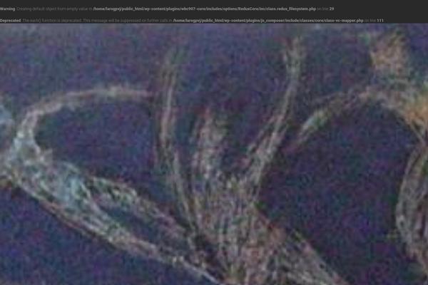 Site using CuteSlider plugin