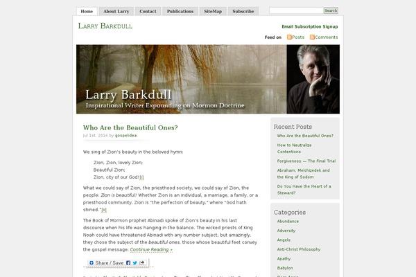 Misty Look theme site design template sample