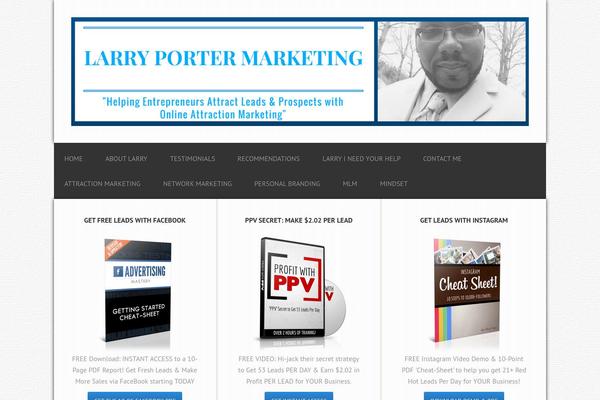 larryportermarketing.com site used Streamline Pro