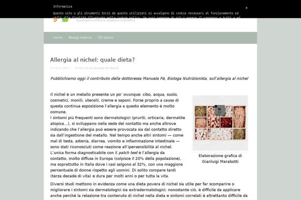 Site using Print Friendly and PDF Button plugin