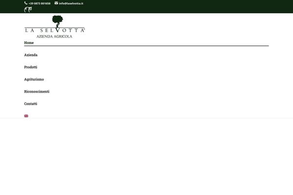 Site using Dt-the7-core plugin