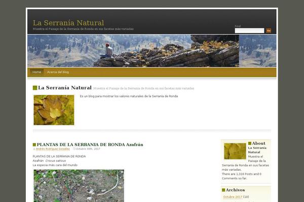 Fallseason theme site design template sample