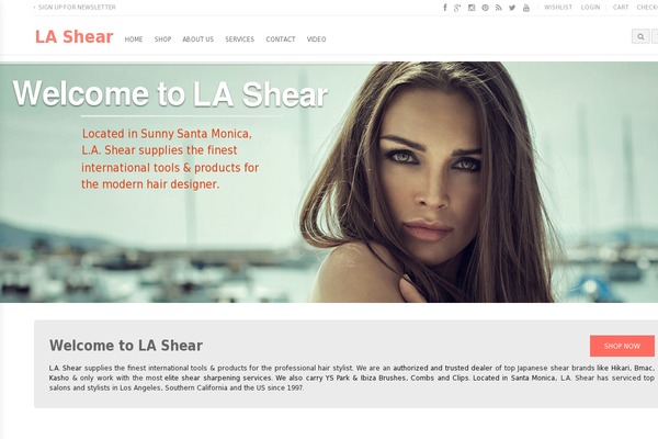 Blaszok eCommerce Theme theme site design template sample