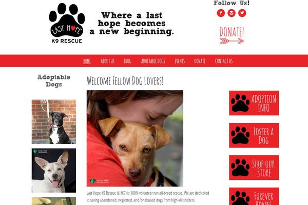 Site using Wp-tiktok-feed plugin