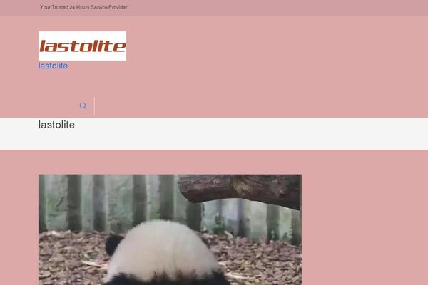 lastolite.jp site used eMart Shop