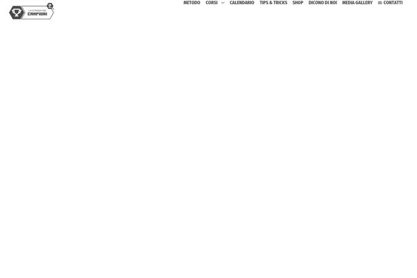 Site using WP Latest Posts plugin