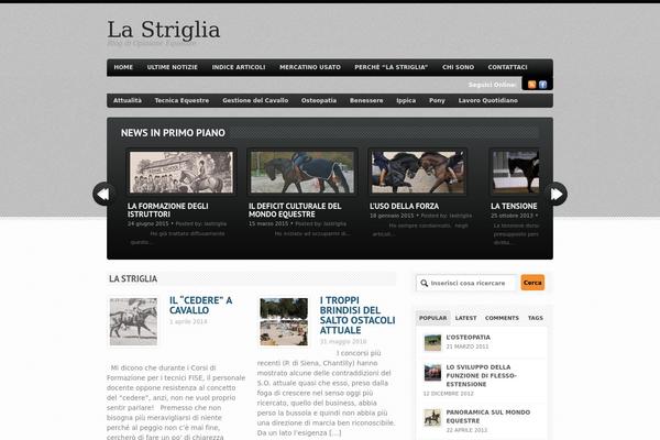 Bold News theme site design template sample