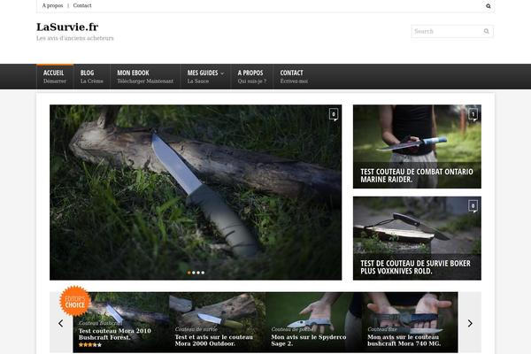 Merlin theme site design template sample