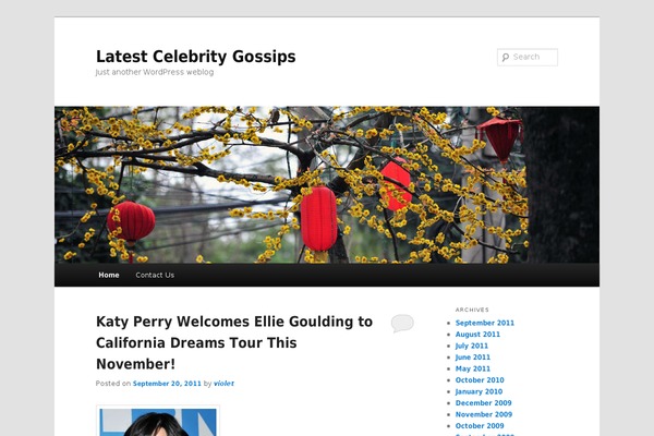 Twenty Eleven theme site design template sample