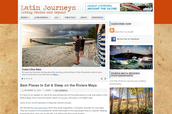 Snips theme site design template sample