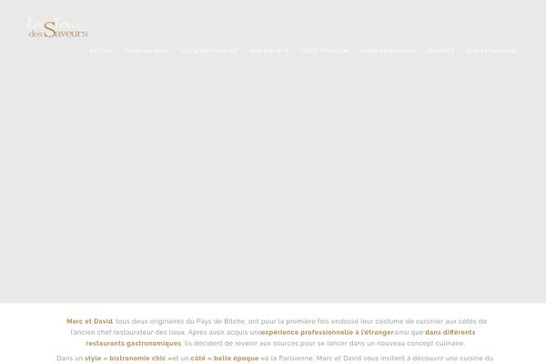Rook theme site design template sample