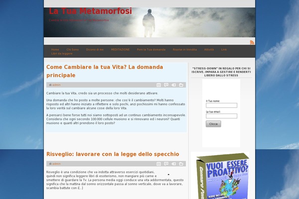 Site using Mp3-audio-player plugin