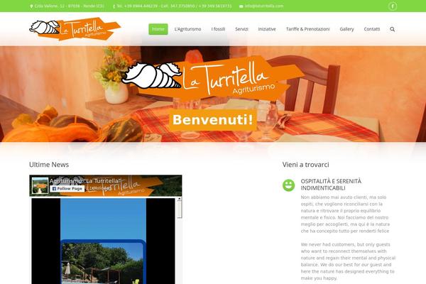Site using Google-language-translator-premium plugin