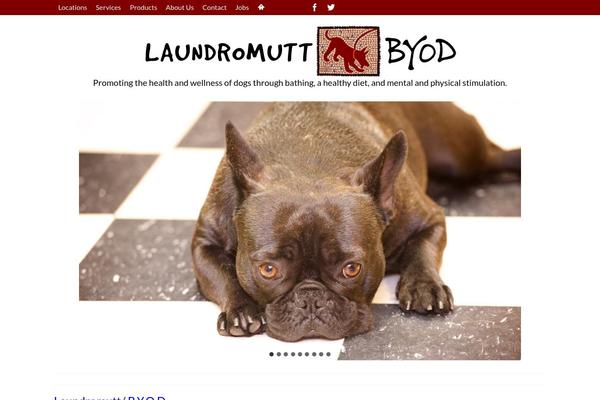 Virtue Premium theme site design template sample