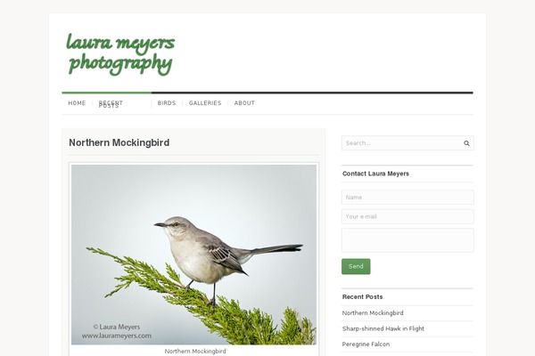 Site using Flickr-stream plugin