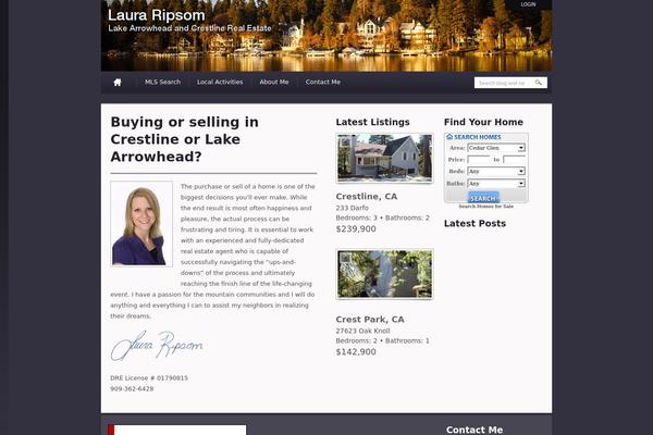 OpenDoor theme site design template sample
