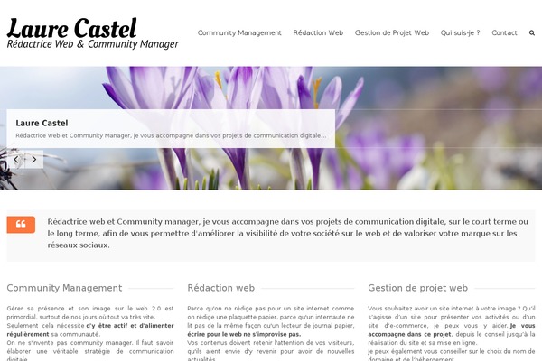 Meteor theme site design template sample