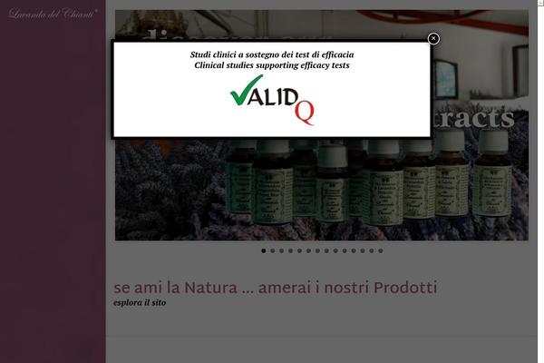 Aton theme site design template sample