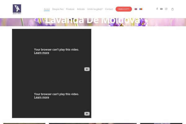 Site using Salient-social plugin