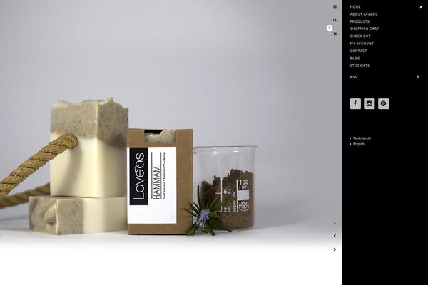 Maximize theme site design template sample