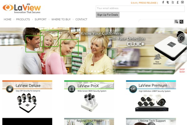 laviewusa.net site used Wldgagency