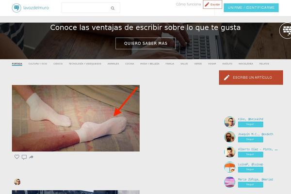 lavozdelmuro.com site used Lavozdelmurotema