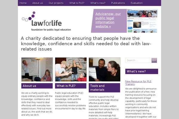 Law theme site design template sample