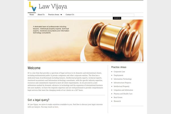 MiniBuzz theme site design template sample
