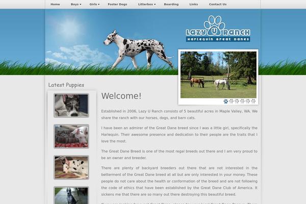 Site using Easy Nivo Slider plugin