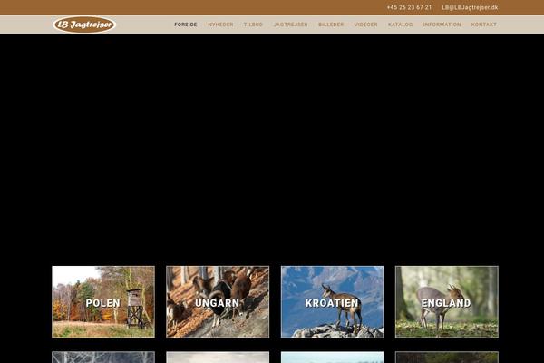 Megalith theme site design template sample