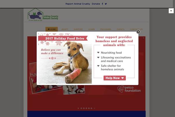 Apicona theme site design template sample