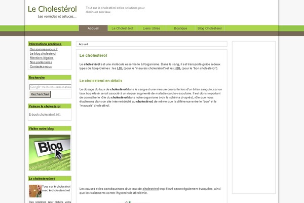 Scarlett theme site design template sample